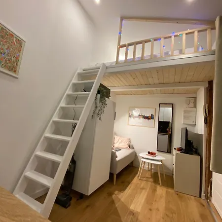 Apartament Cosy Hypercentre De Tuluza
